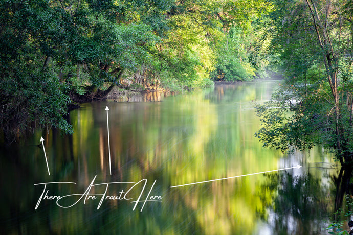 A Summer Fly Fishing Day Barbless Flies