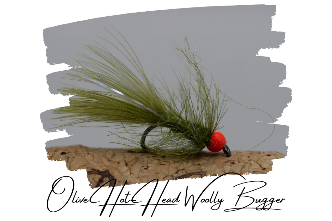 Artisan Olive Hot-Head Woolly Bugger