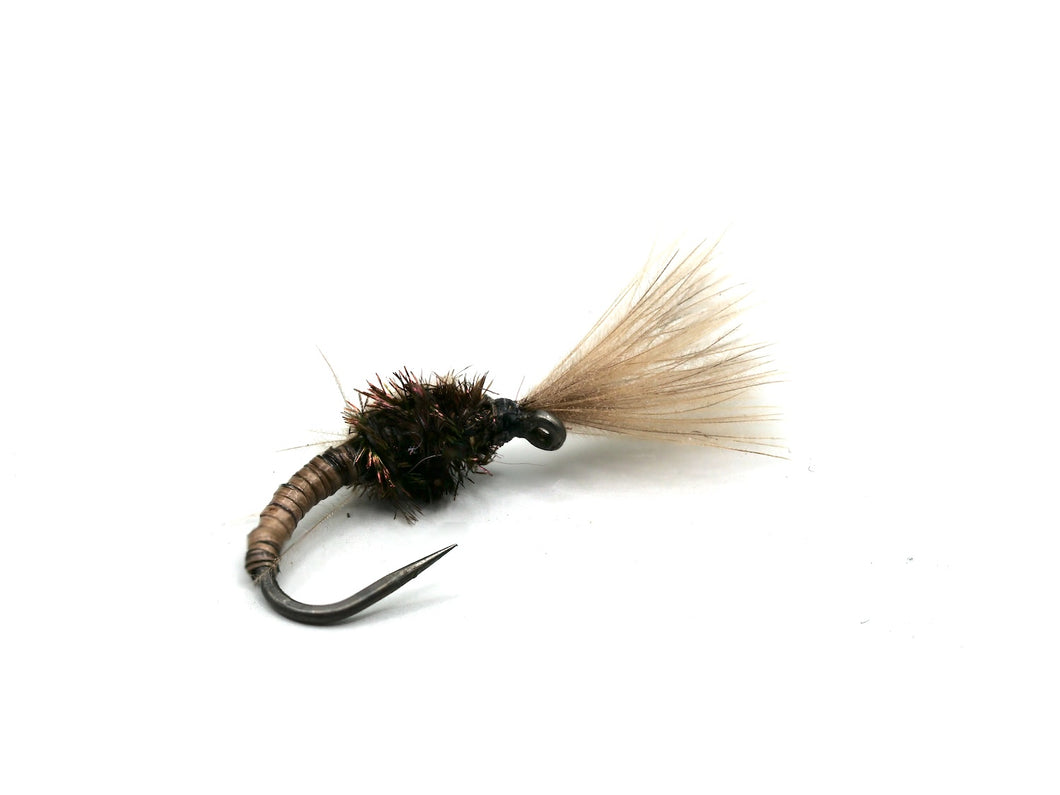 Tan Shuttlecock CdC Emerger