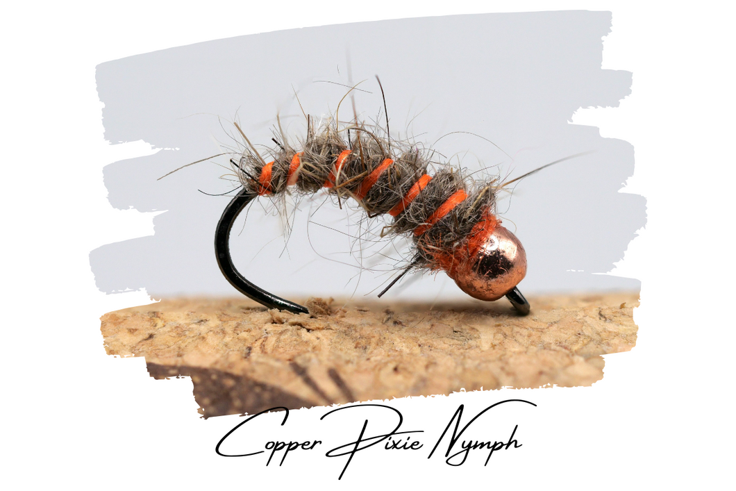 Copper Pixie Nymph