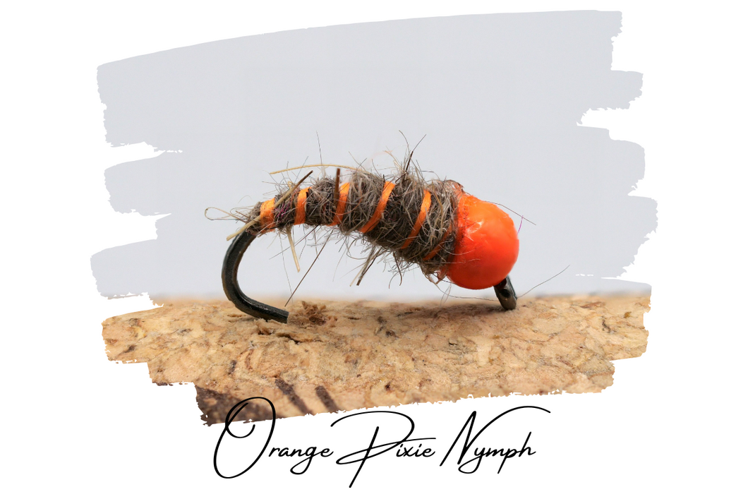 Orange Pixie Nymph